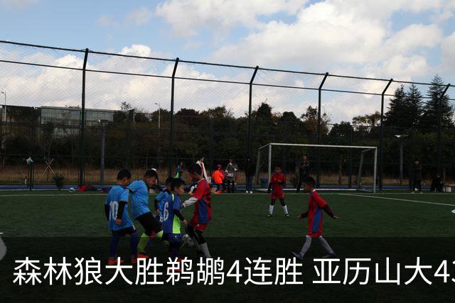 森林狼大胜鹈鹕4连胜 亚历山大43分雷霆克骑士