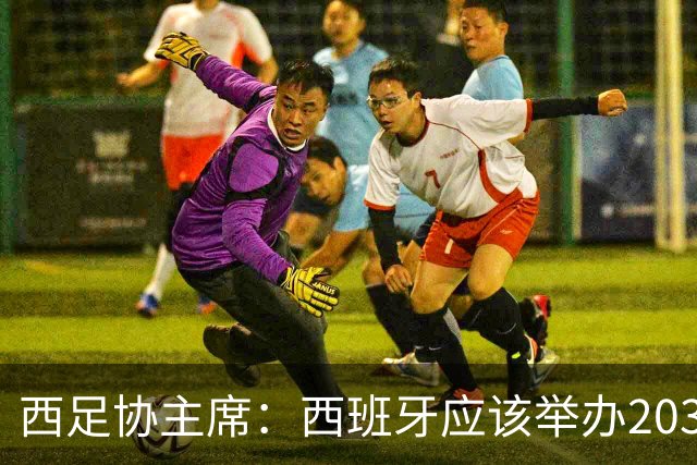 西足协主席：西班牙应该举办2030世界杯决赛，我们各方面条件最优